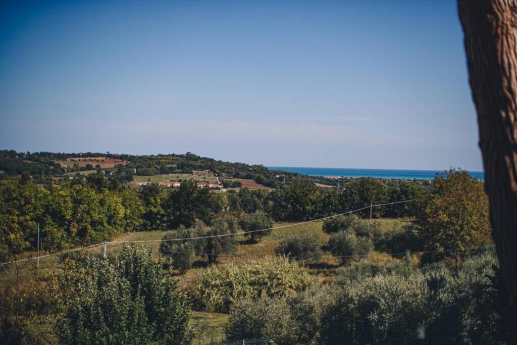 Villa Monte Illuminato Fano Exterior foto